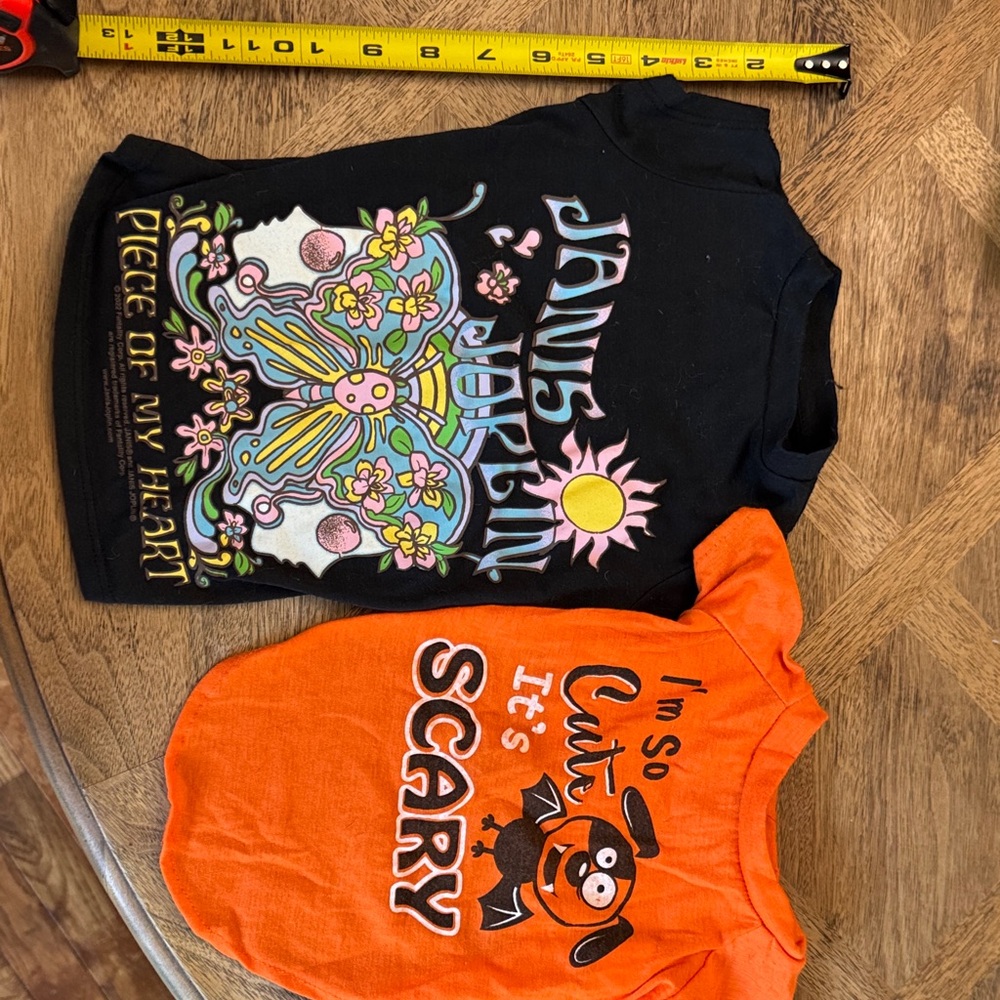 Orange and Black Dog T-Shirts - Cute and Spooky